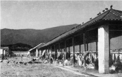 Demolición Matadero e San Martín.jpg