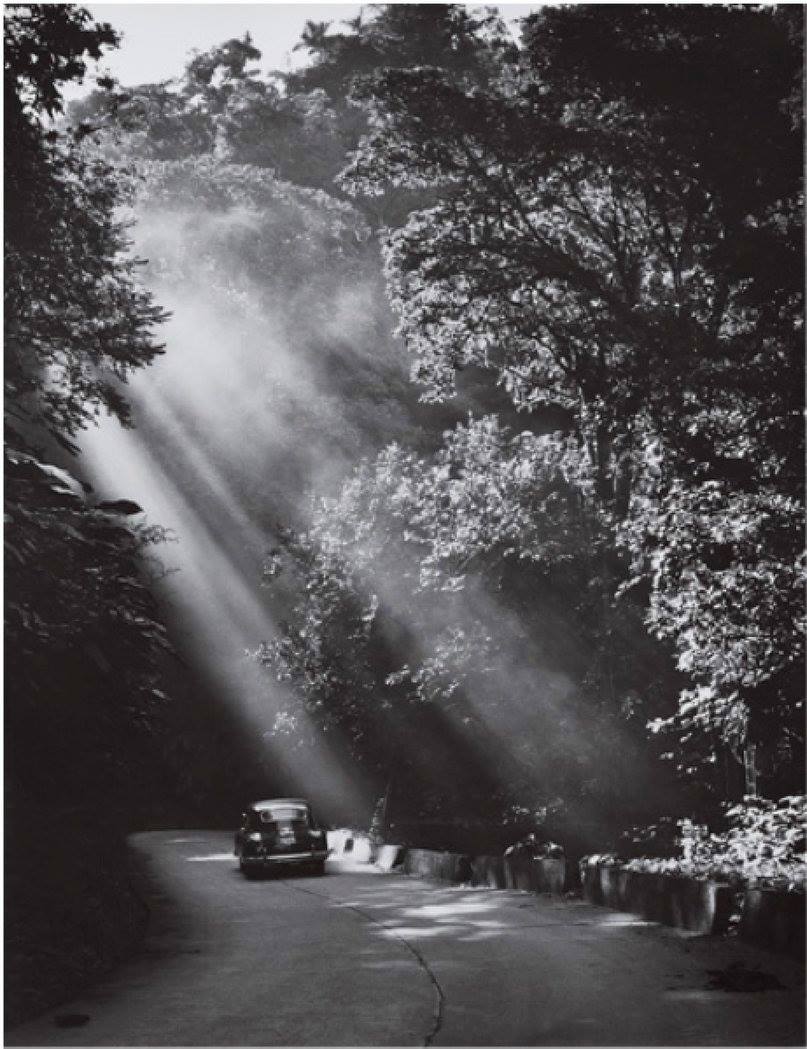 Creación del Parque Nacional Rancho Grande.jpg