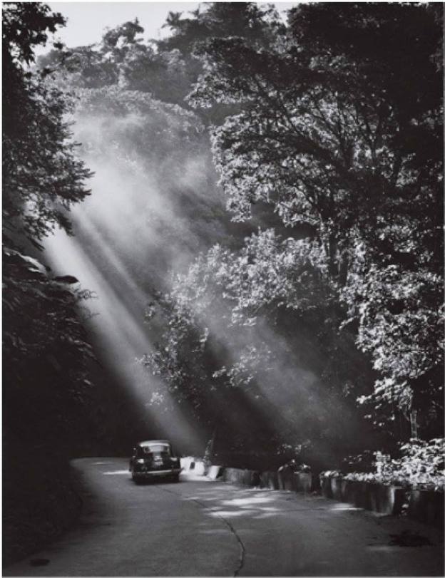 Creación del Parque Nacional Rancho Grande.jpg