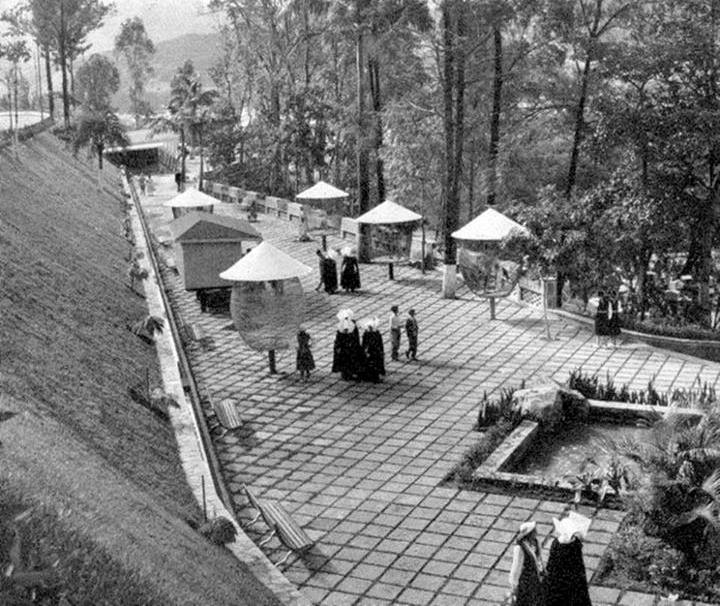 Inauguración del Parque El Pinar.jpg