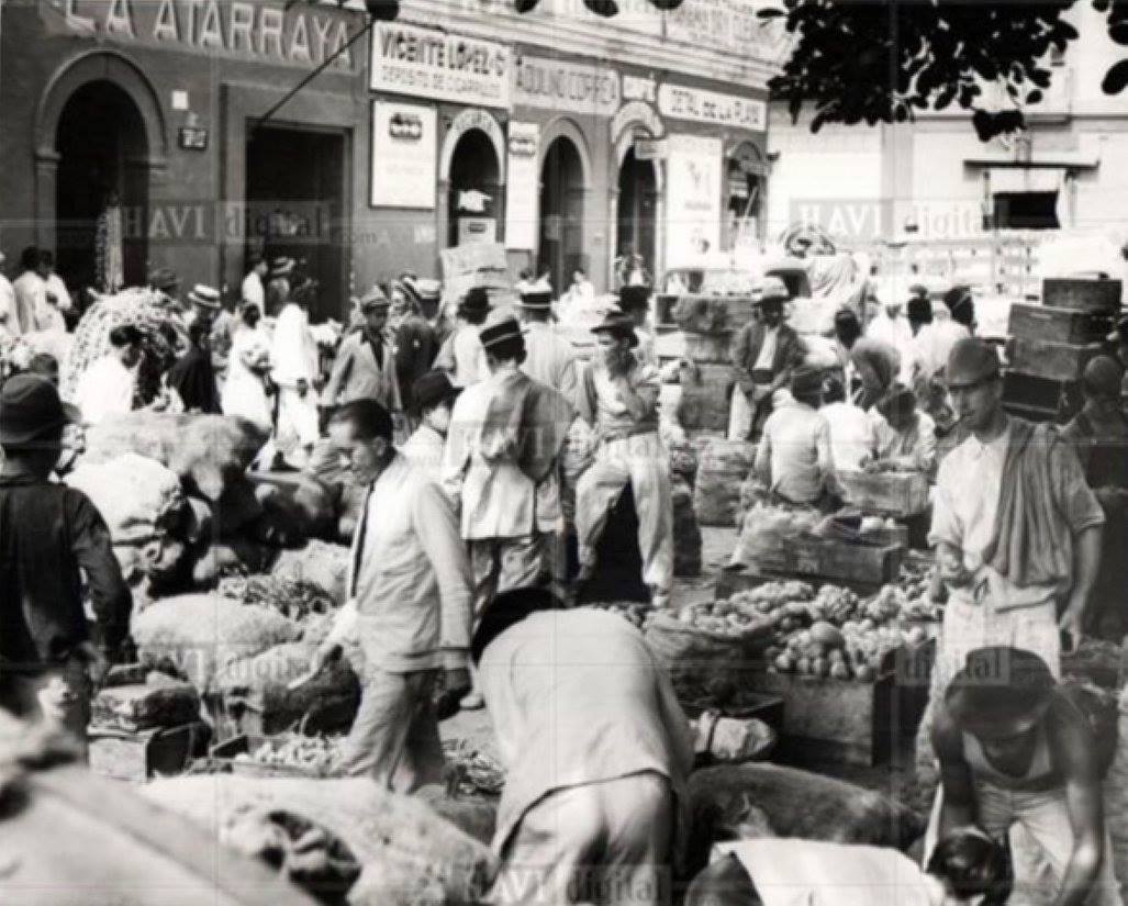 Se inicisn los estudios para la creación de MERSIFRICA.jpg