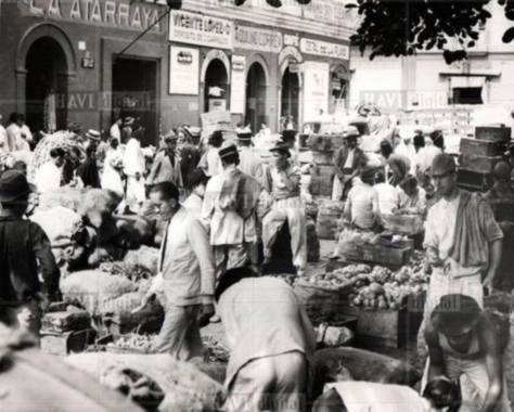 Se inicisn los estudios para la creación de MERSIFRICA.jpg