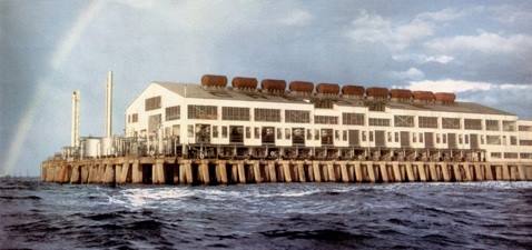 Planta de Conservación Tía Juana Maracaibo.jpg