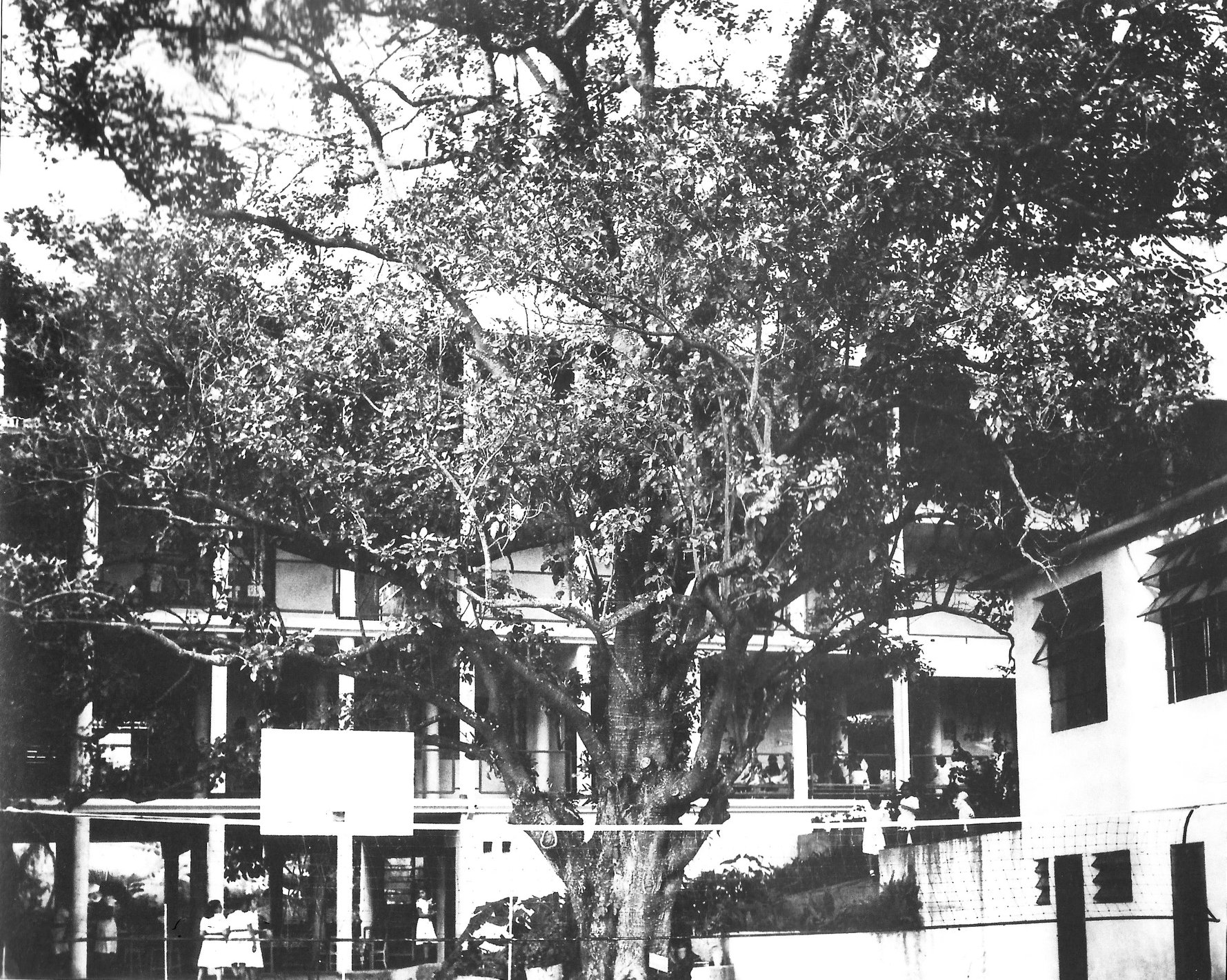 Instituto Politécnico Educacional 3