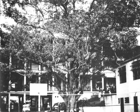 Instituto Politécnico Educacional 3