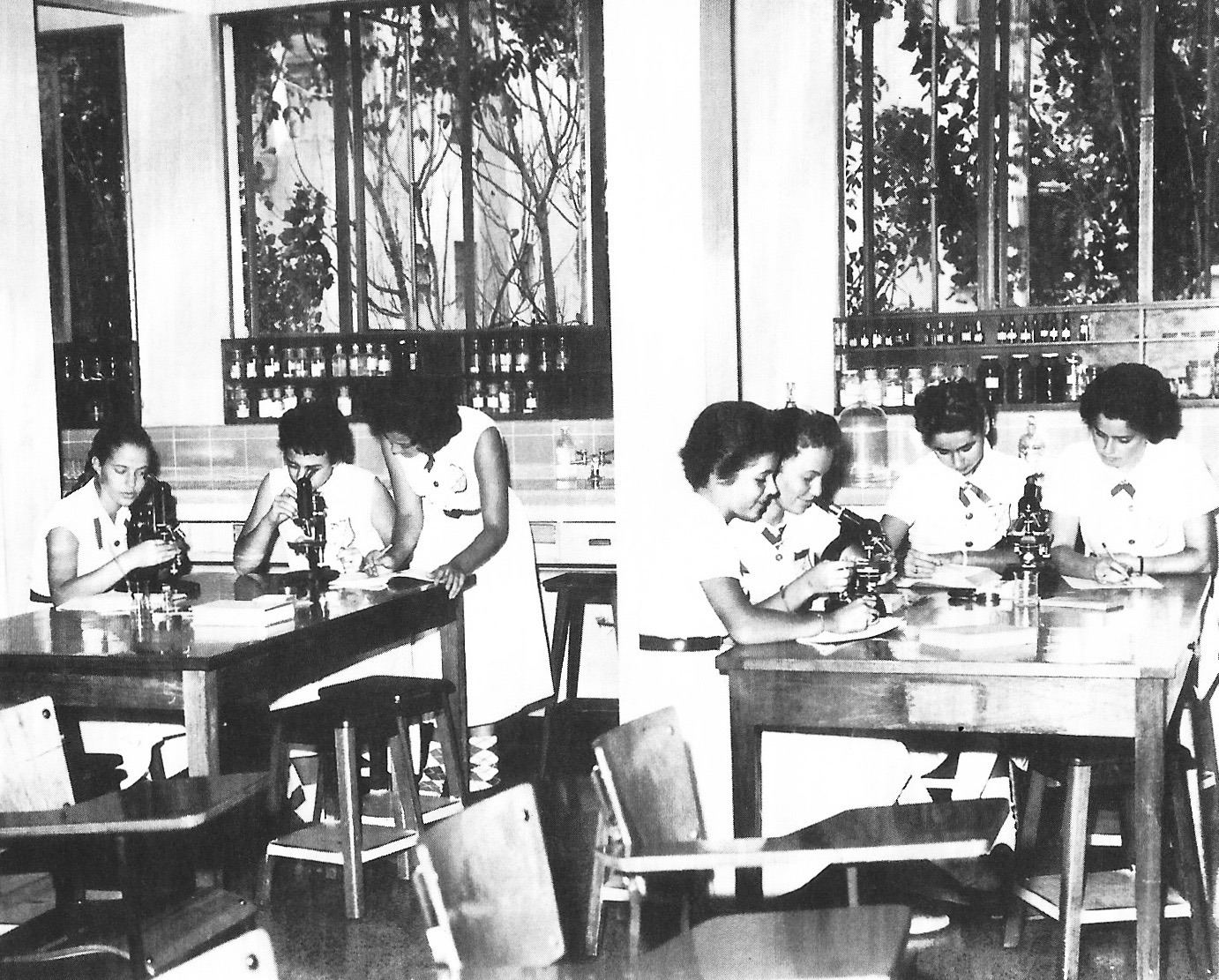 Instituto Politécnico Educacional 5