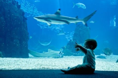 Pabellón de Venezuela en ExpoLisboa 98.jpg