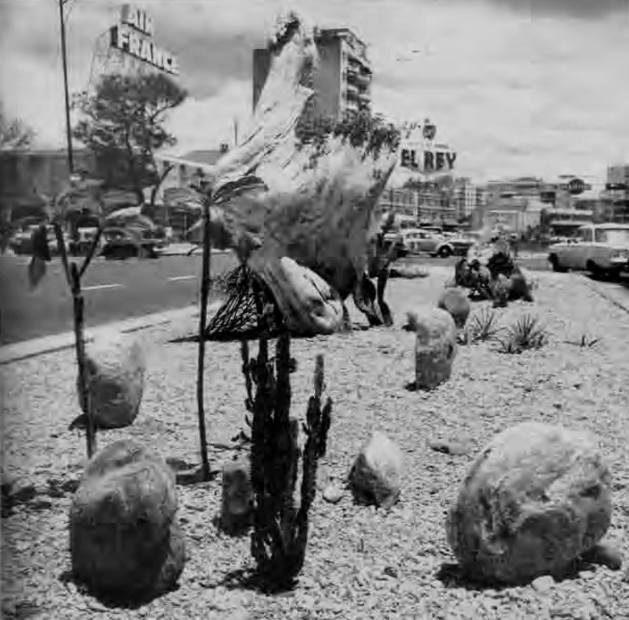 Jardines xerófilos en Caracas.jpg